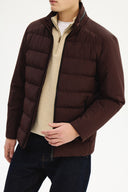 Adv Regular Fit Bordo Mont