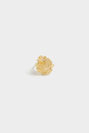 7ak791000002m-std-1|2026-09-09 06:33:28